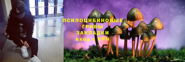 2c-b Балабаново