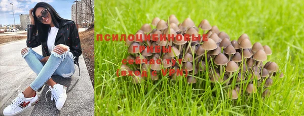 марихуана Баксан