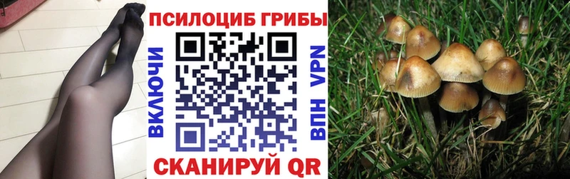 Псилоцибиновые грибы MAGIC MUSHROOMS  наркошоп  Ликино-Дулёво 